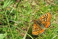 23 05 15_4319_edited-1